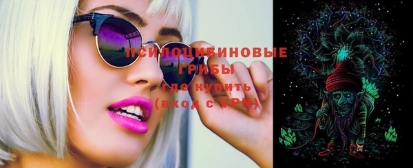 спайс Алзамай