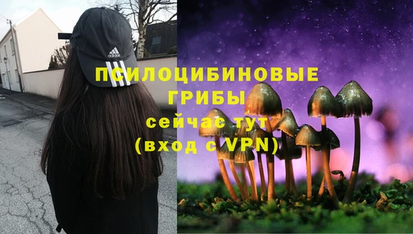 Альфа ПВП Алексеевка