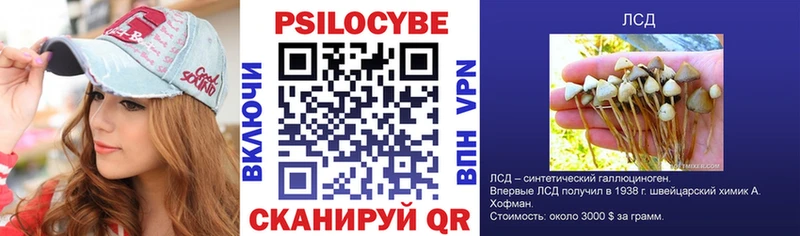 hydra tor Лебедянь Псилоцибиновые грибы прущие грибы